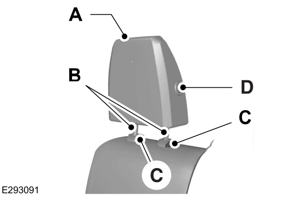Head Restraint