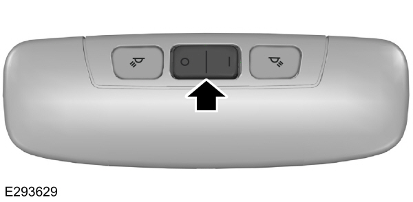 Image Shown Without Description