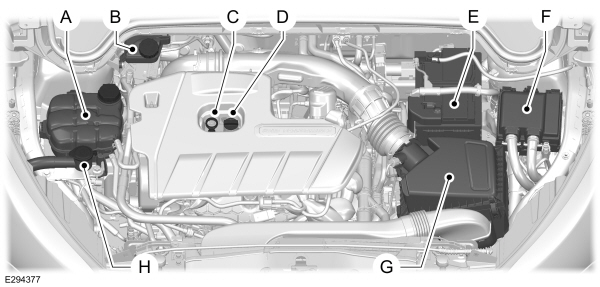 Image Shown Without Description