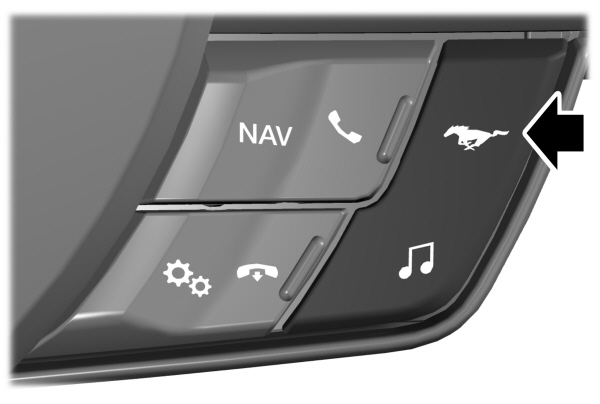 Image Shown Without Description