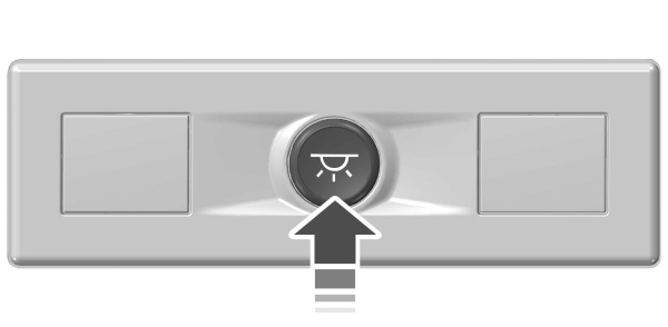 Image Shown Without Description