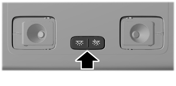 Interior Lamp - Overhead Console