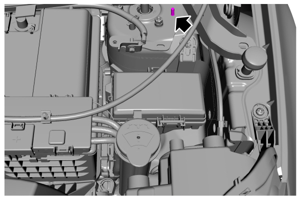Image Shown Without Description