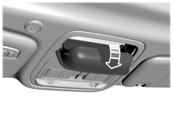 Image Shown Without Description