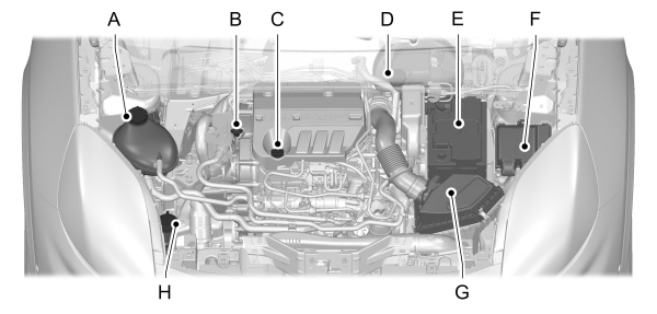 Image Shown Without Description