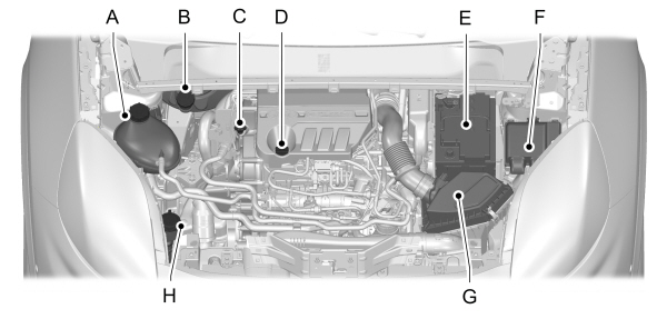 Image Shown Without Description