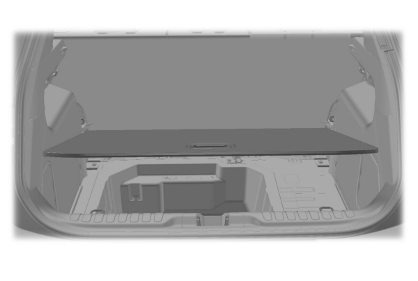 Image Shown Without Description