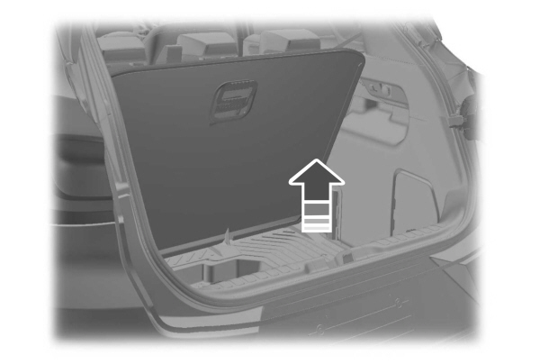 Image Shown Without Description
