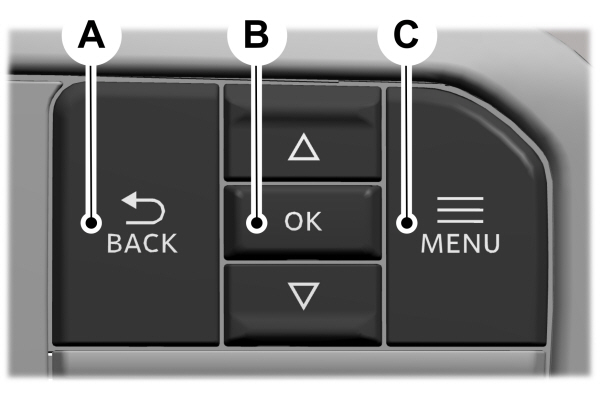 Information Display Controls