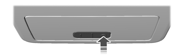 Image Shown Without Description