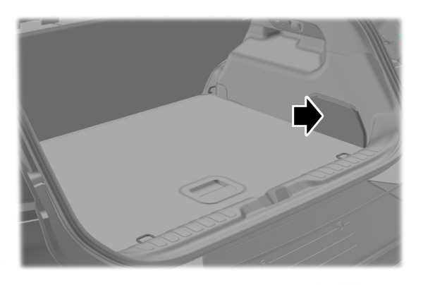 Image Shown Without Description