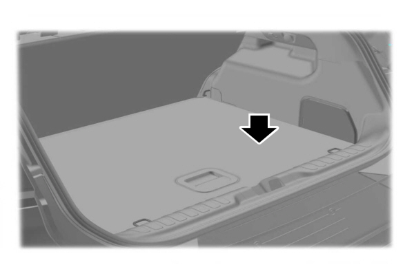 Image Shown Without Description
