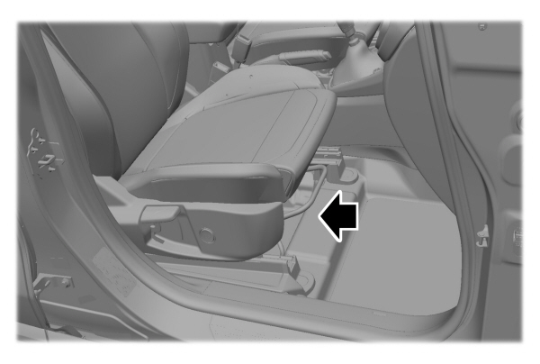 Image Shown Without Description
