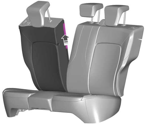 Image Shown Without Description