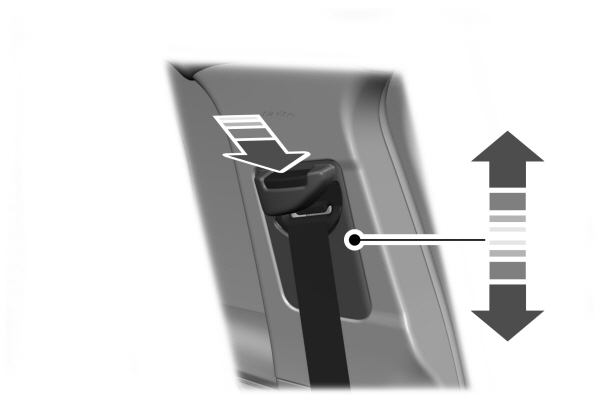 Image Shown Without Description