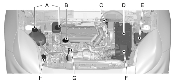 Image Shown Without Description