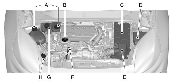 Image Shown Without Description