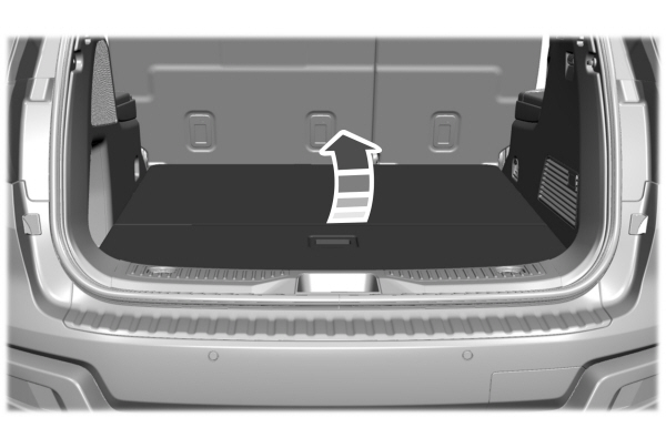 Image Shown Without Description