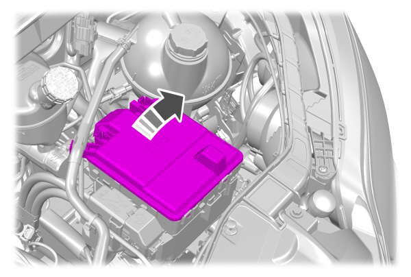 Image Shown Without Description