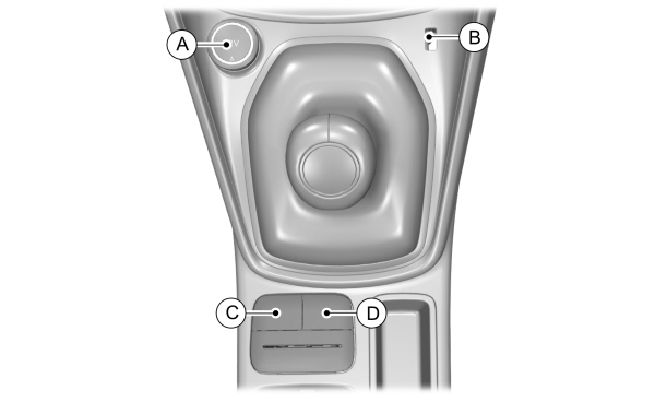 Image Shown Without Description