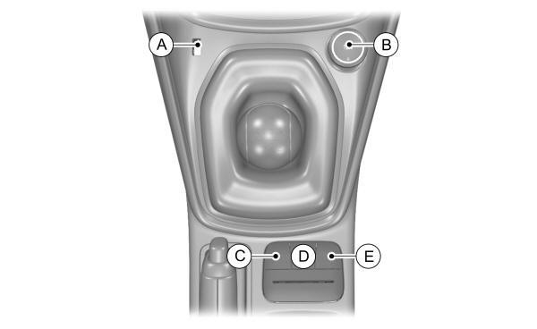 Image Shown Without Description