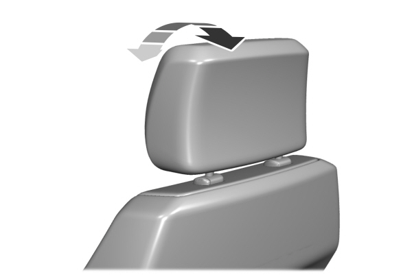 Image Shown Without Description