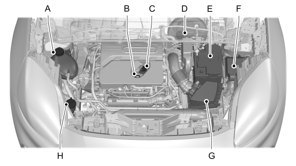 Image Shown Without Description