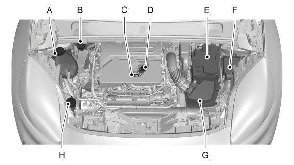 Image Shown Without Description