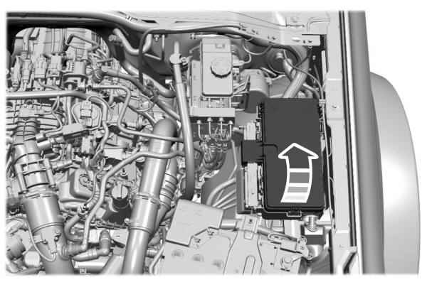 Image Shown Without Description