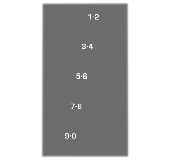 Image Shown Without Description