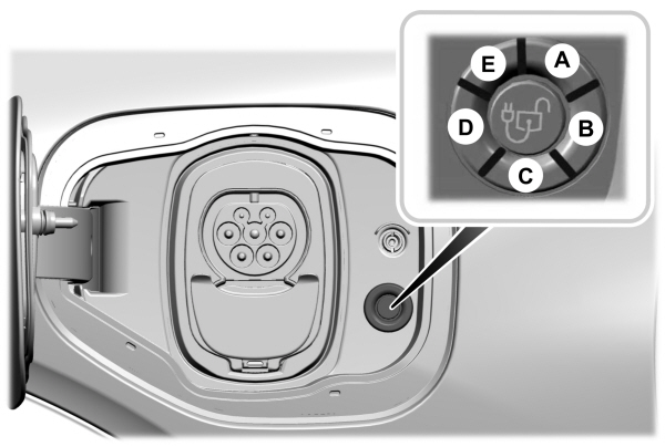 Image Shown Without Description