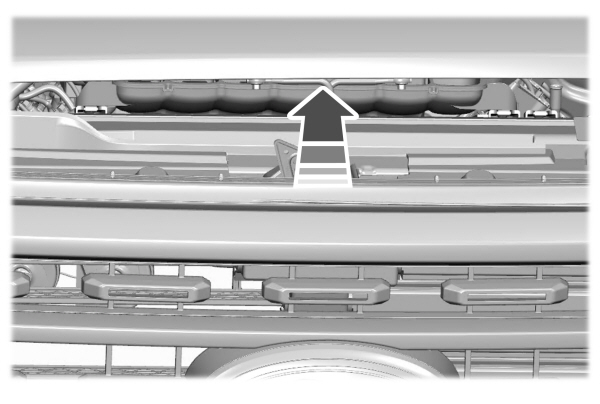 Opening Hood