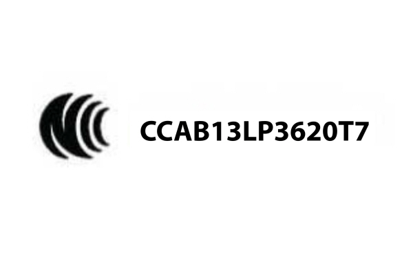 Radio Frequency Certification for Taiwan - Passive Anti-Theft System