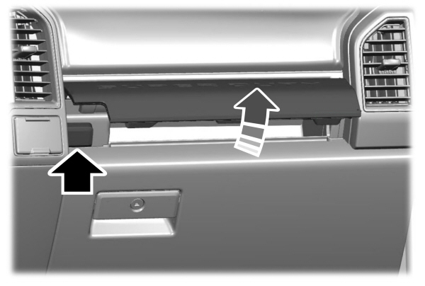 Image Shown Without Description