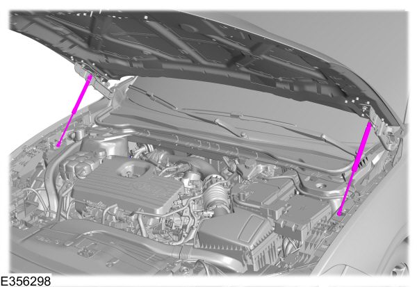 Image Shown Without Description