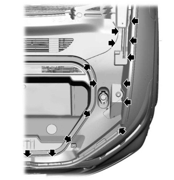 Image Shown Without Description