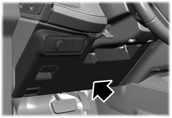 Image Shown Without Description