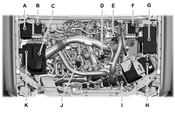 Image Shown Without Description