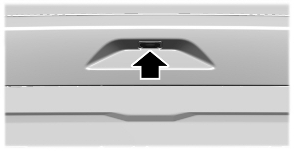 Image Shown Without Description