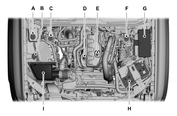 Image Shown Without Description