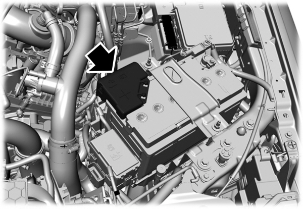 Image Shown Without Description