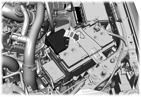Image Shown Without Description