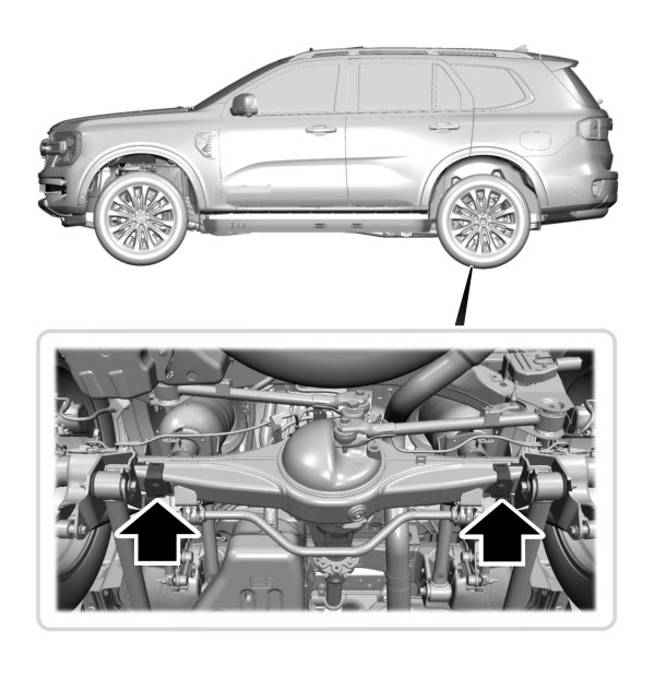 Image Shown Without Description