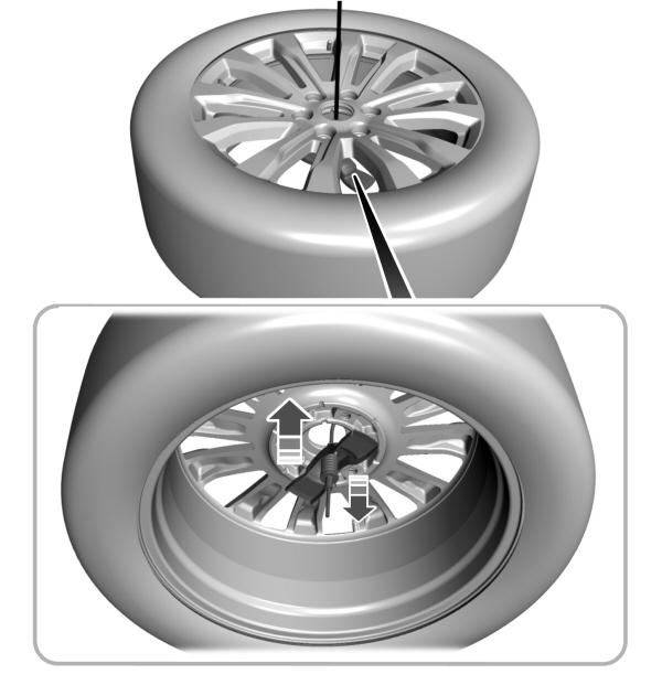 Image Shown Without Description