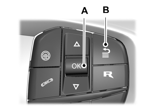 Image Shown Without Description
