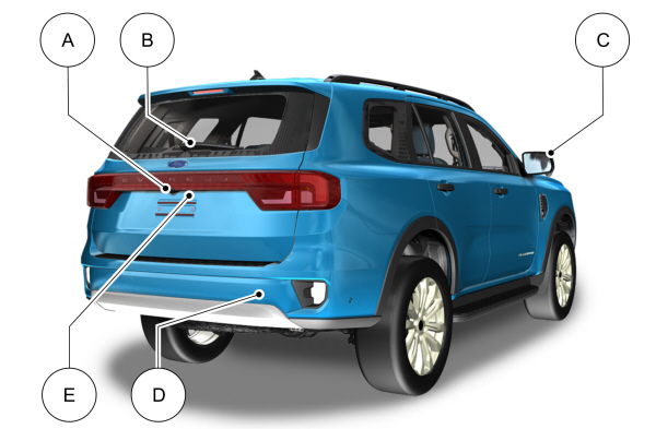 Image Shown Without Description