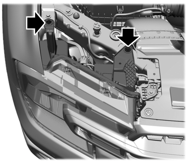 Image Shown Without Description