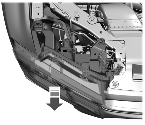 Image Shown Without Description