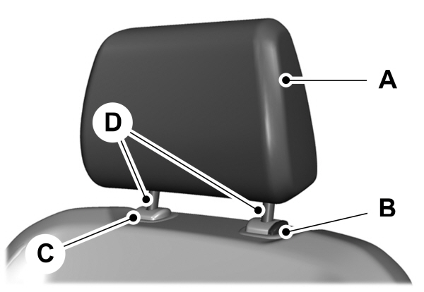 Image Shown Without Description