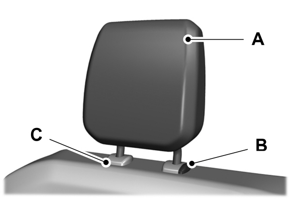 Image Shown Without Description